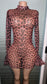 Leopard Mesh Dress